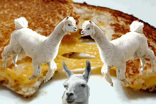 Or you can try one of these recipes that will taste really good but not quite as good tbh.