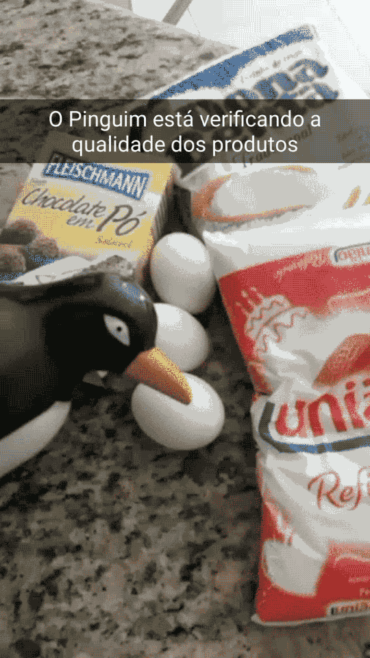 "Tudo muito bom", disse o pinguim.