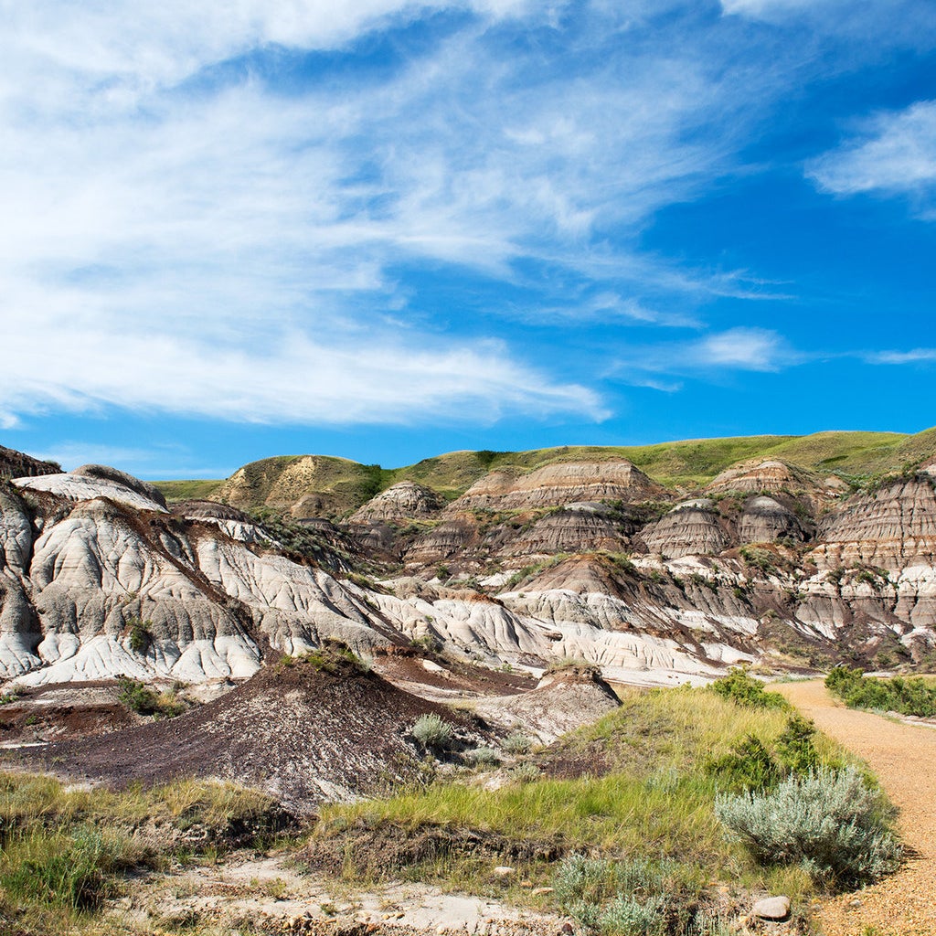 Sedimentary layers broken down: sandstone is light-colored, deposited by rivers; mudstone is brown, made by swamps and other slow-moving waters; coal is black and formed by dead plants; and iron stone is red, made up from organic material and acidic swamps.