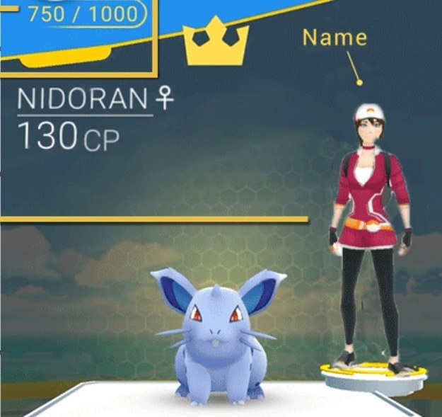 You're fit to be a gym leader!