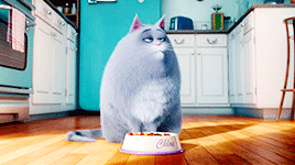 Eres Chloe.