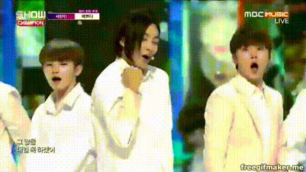 Seventeen love their fanbase, called Carats! They once had a performance where they sang "Pretty U" with pictures of Carats on the back screen. When it reached the hook that translates to "You are pretty!", they turned to face the photos behind them.