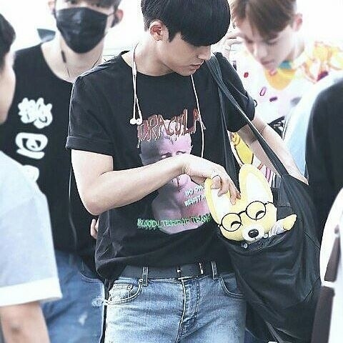 When they traveled to New York City to attend KCON NY, member Mingyu brought along a yellow fox with glasses to symbolize the older member. Here's Mingyu with the Wonwoo fox!