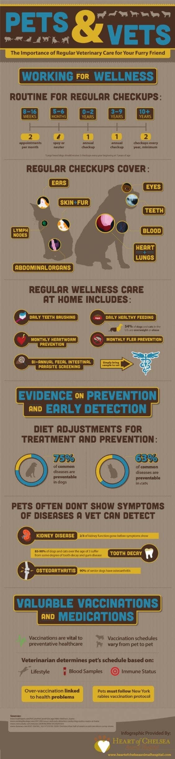 Pets And Vets - The importance of vet visits for your pet.