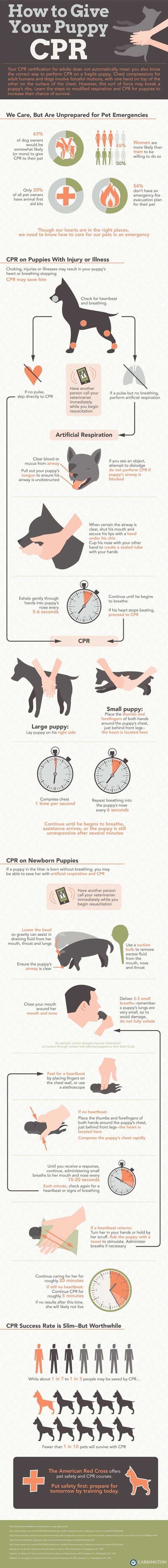 How To Give Your Puppy CPR. Step by step CPR directions for dogs.