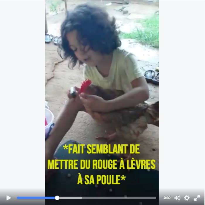 Cette Adorable Petite Fille Refait Une Beauté à Sa Poule
