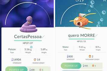 O brasileiro sabe melhor do que ninguém como batizar seus Pokémons