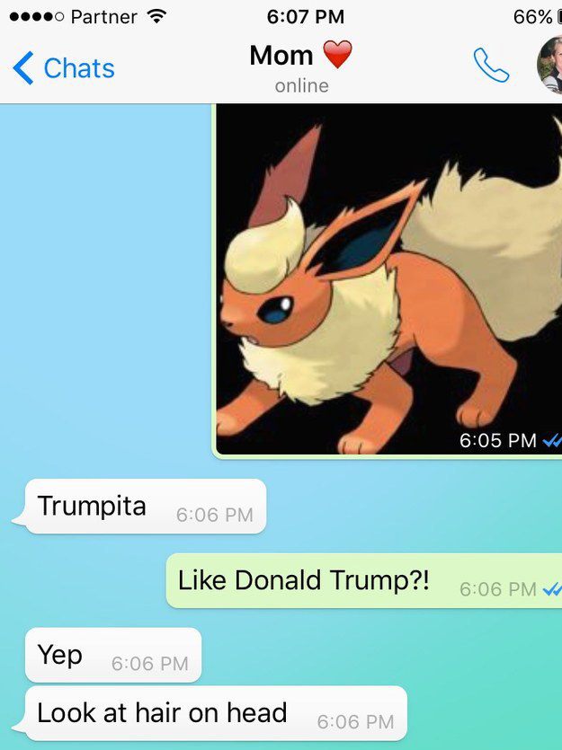 Flareon reminded someone's mom of a certain ~politician~:
