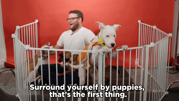 SR: Surround yourself by puppies, that’s the first thing. I don’t know, just lead a very unhealthy lifestyle.