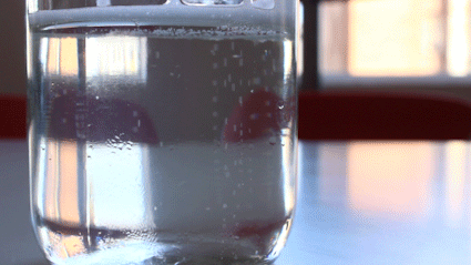 It's bubbly, refreshing, and comes in so many different varieties that there's always a flavor you've never seen before. Here are some you can get right now that are soda-licious:
