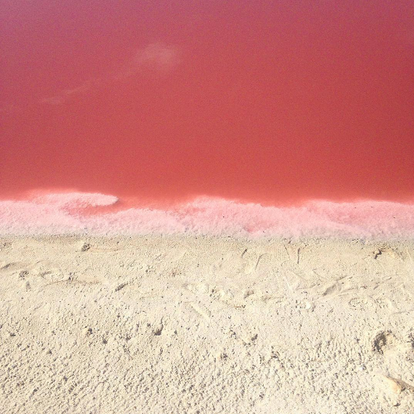 Hay una gran concentración de sal, microorganismos y halobacterias que hacen que el agua se vea rosa.