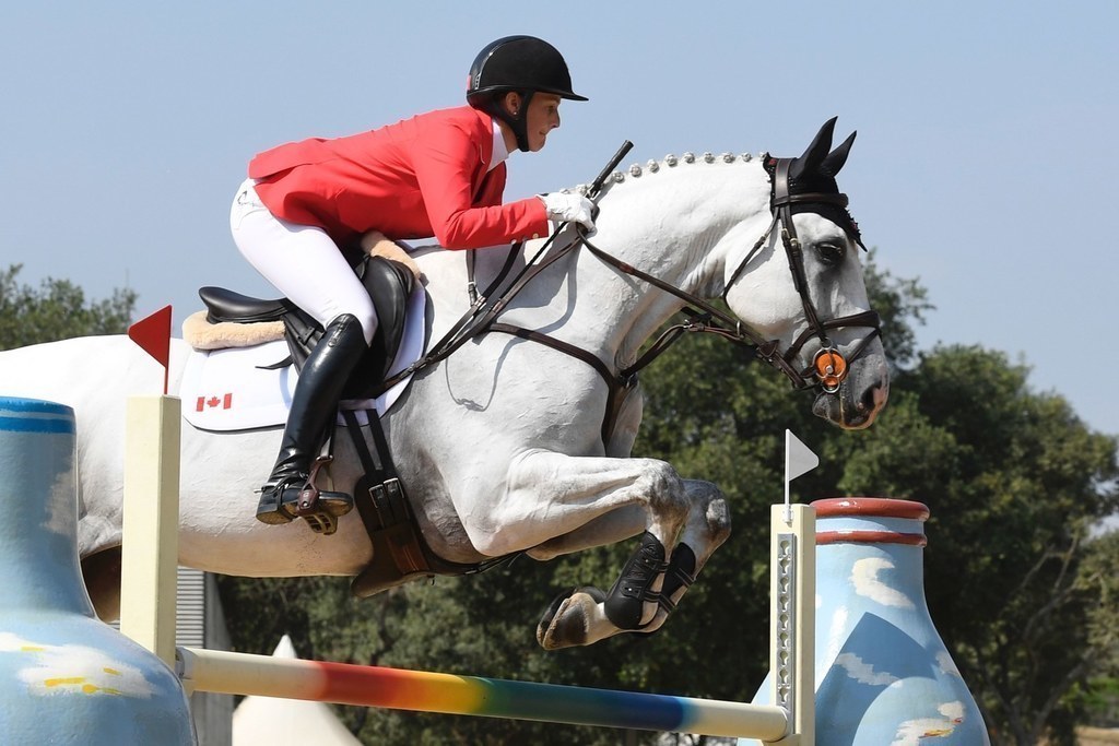 リオ五輪】馬術競技の馬たちが被っている小さい帽子を不思議に思ってい