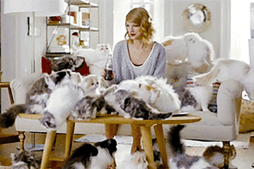 Cat Person!