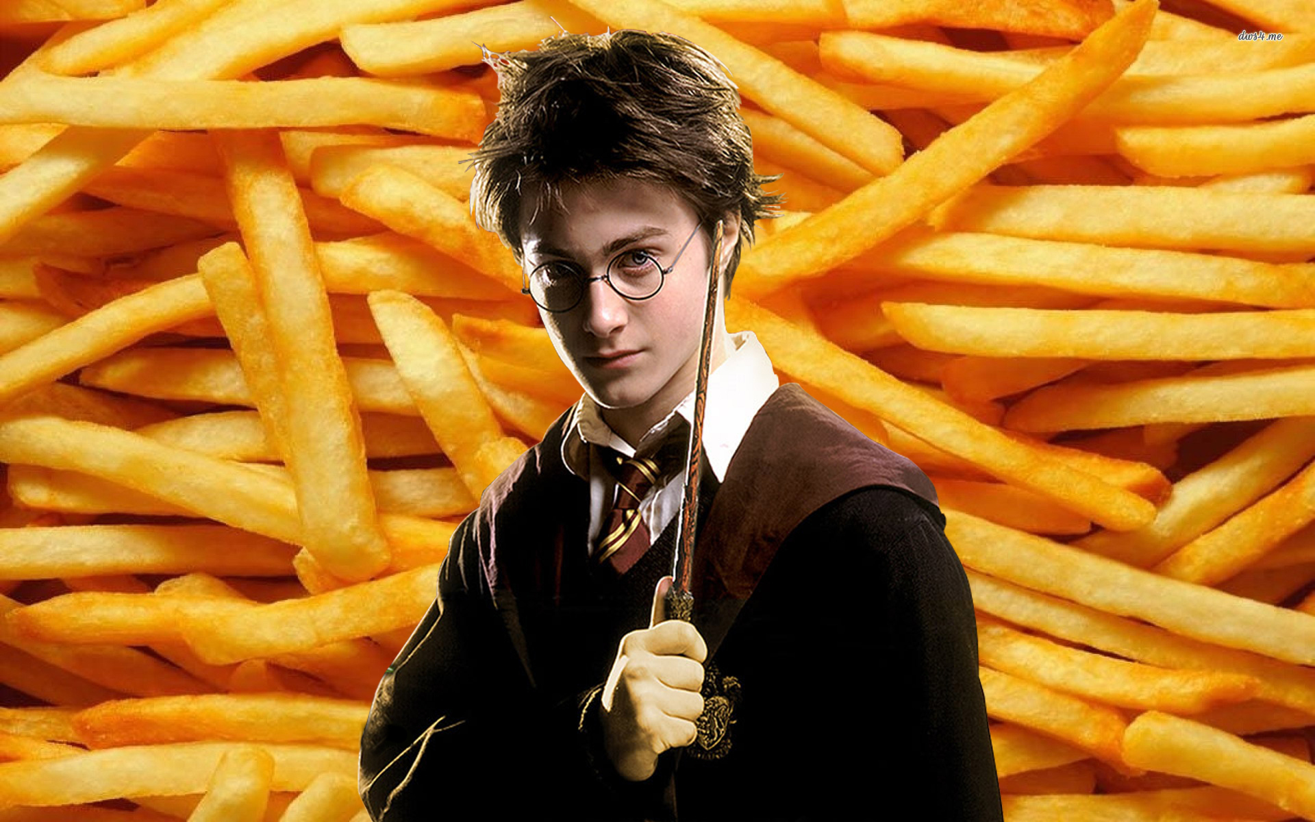 Which Harry Potter Character Are You