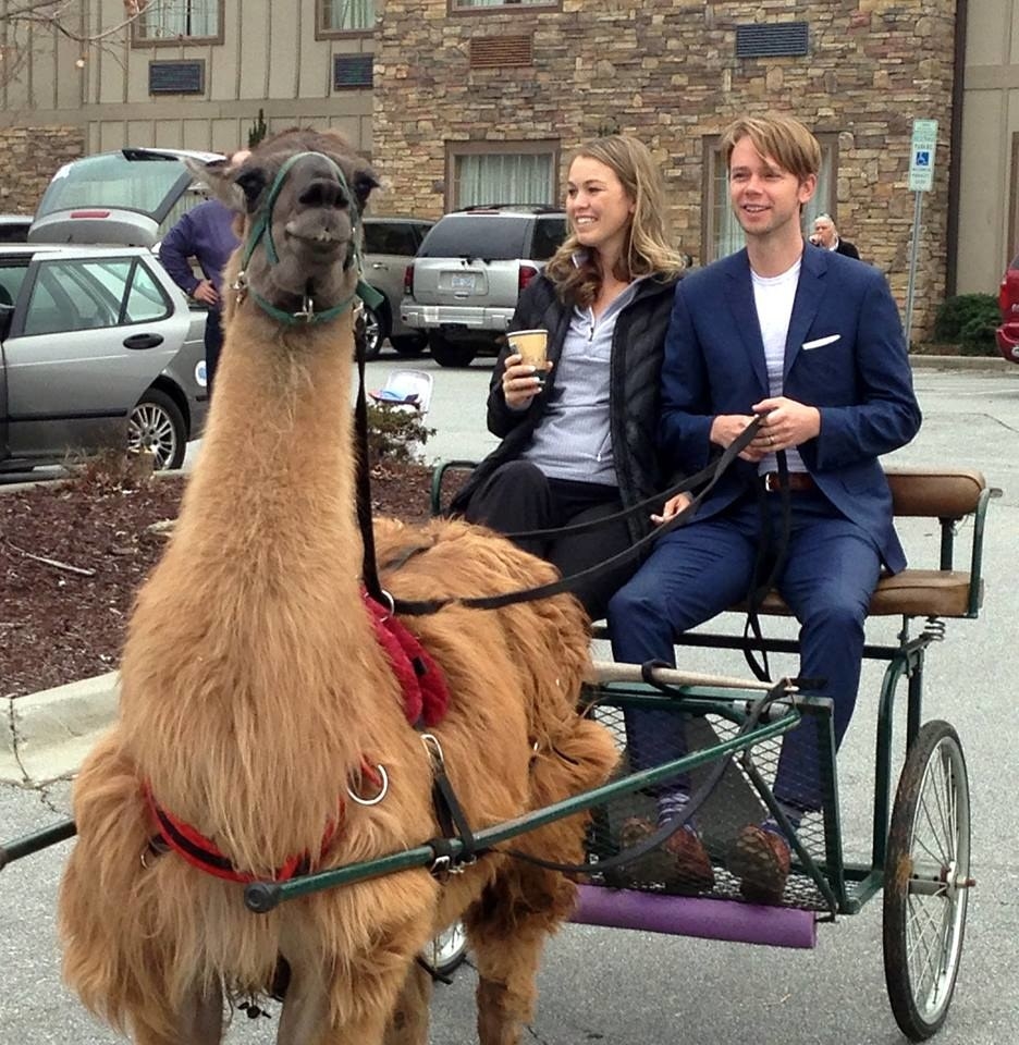 This Couple Got Their Wedding Crashed By A Ton Of Llamas