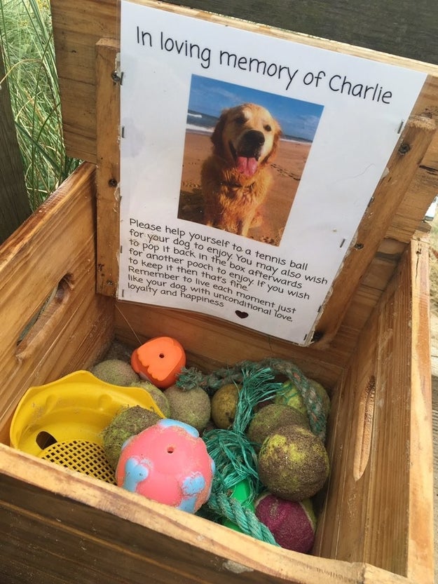 Someone had left the crate "in loving memory of Charlie," a dog who recently died. It was filled with old tennis balls and doggie toys for other dogs to enjoy. And if someone's dog wished to keep the ball or toy, "then that's fine," a note said.