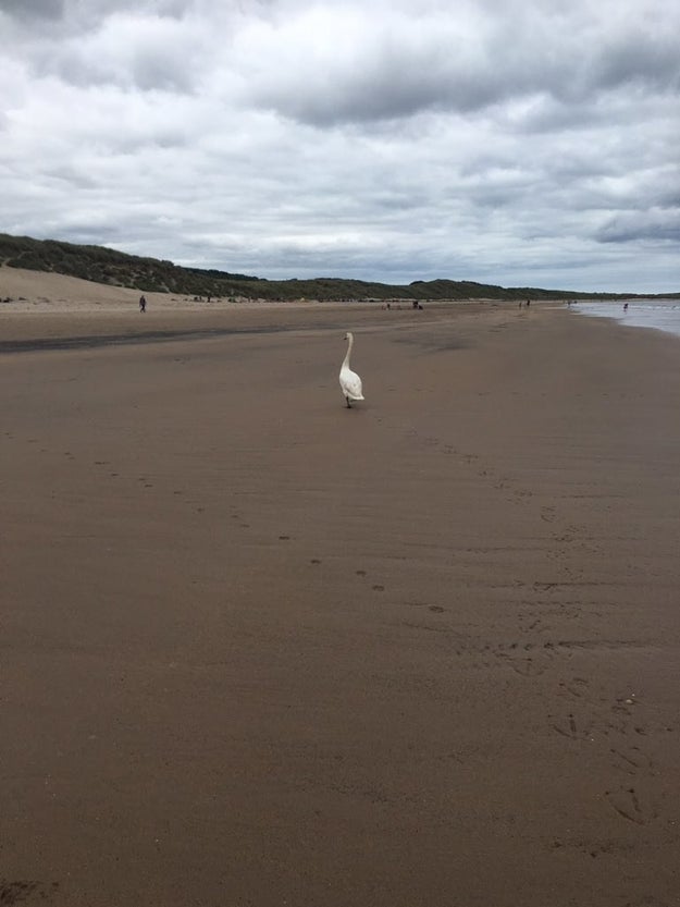 Sanderson told BuzzFeed she was walking along Druridge Bay when she saw the box, and was immediately moved by it.