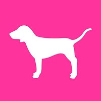 BuzzFeed profile picture for @pink
