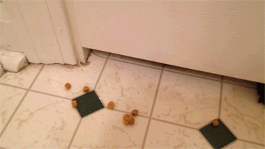 Em poucos cliques e alguns minutos, um rango delicioso e quentinho chega na porta da sua casa. Quem ama cuida mesmo.