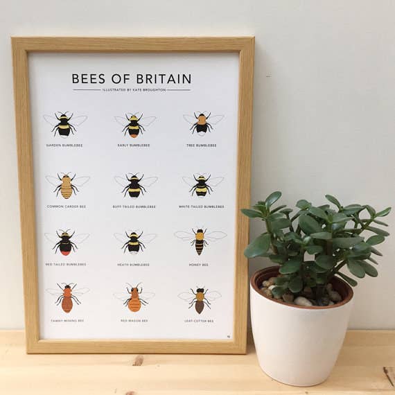 21 Things You Need If You Just Fucking Love Bees