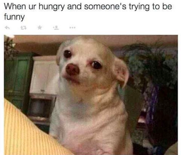 19 Things People Who Are Always Hungry Just Get