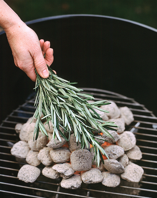 Instead of marinating your meats or vegetables, just put fresh rosemary right on top of the coals — the flavor will come through that way.