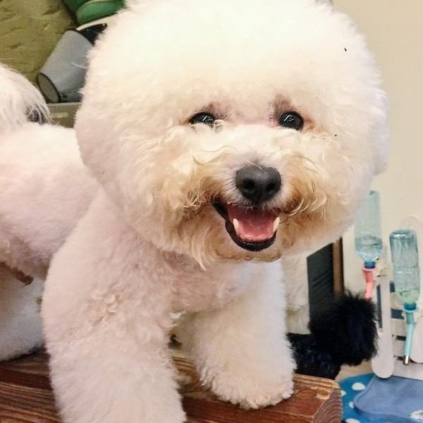 Sorry, Here's 13 More Things That Look Exactly Like Caillou