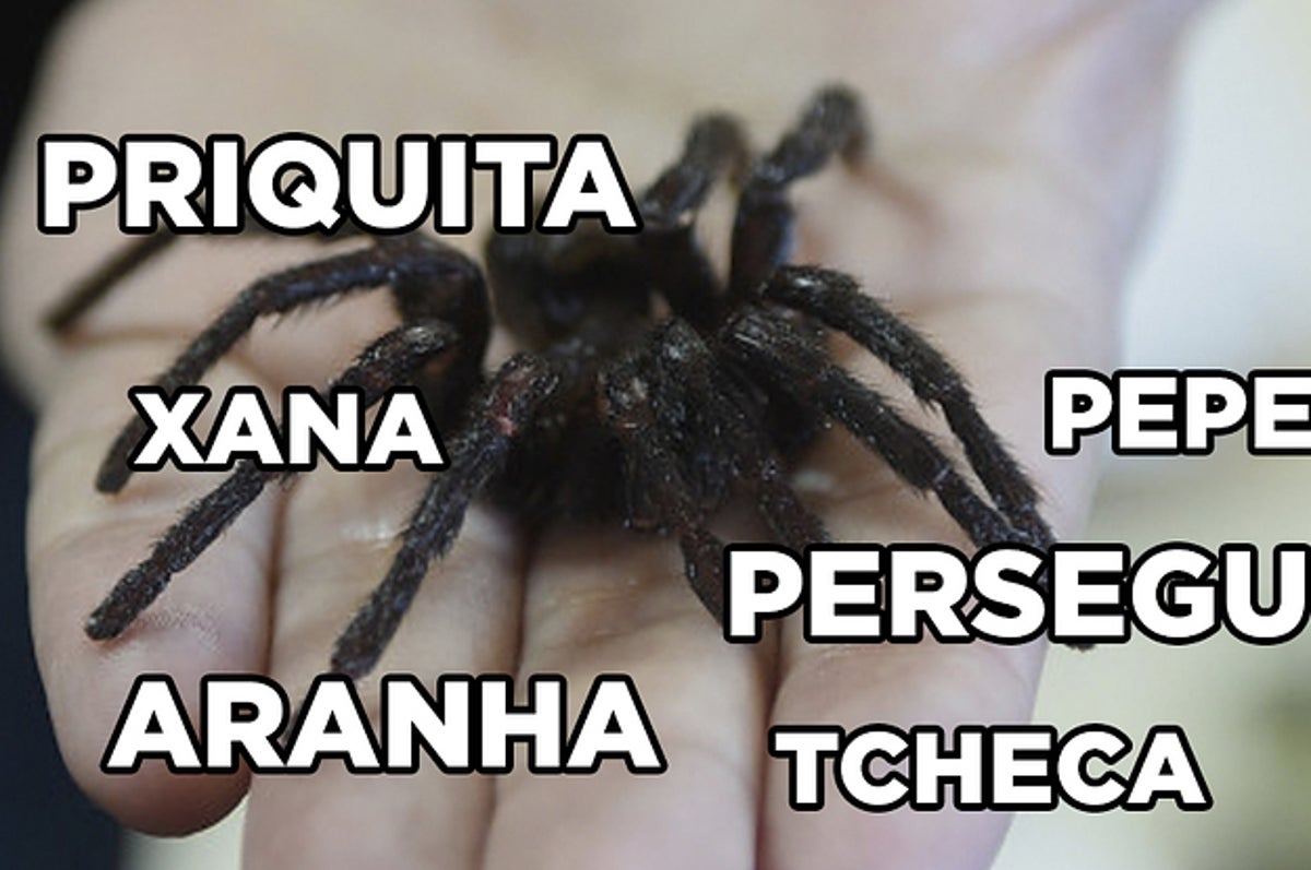 85 Formas De Falar Buceta