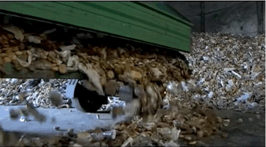 Interrogé dans le documentaire We feed the world, en 2007, un Autrichien raconte qu'il est payé depuis dix ans pour jeter chaque jour pas moins de 2 tonnes de pain encore comestible dans une décharge. Les surplus de pain jetés chaque jour à Vienne pourraient suffire à alimenter la deuxième ville d'Autriche, Graz.
