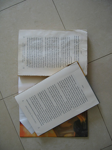 Look, I'm not saying that I chop my books in half deliberately, like Meg Cabot did here.