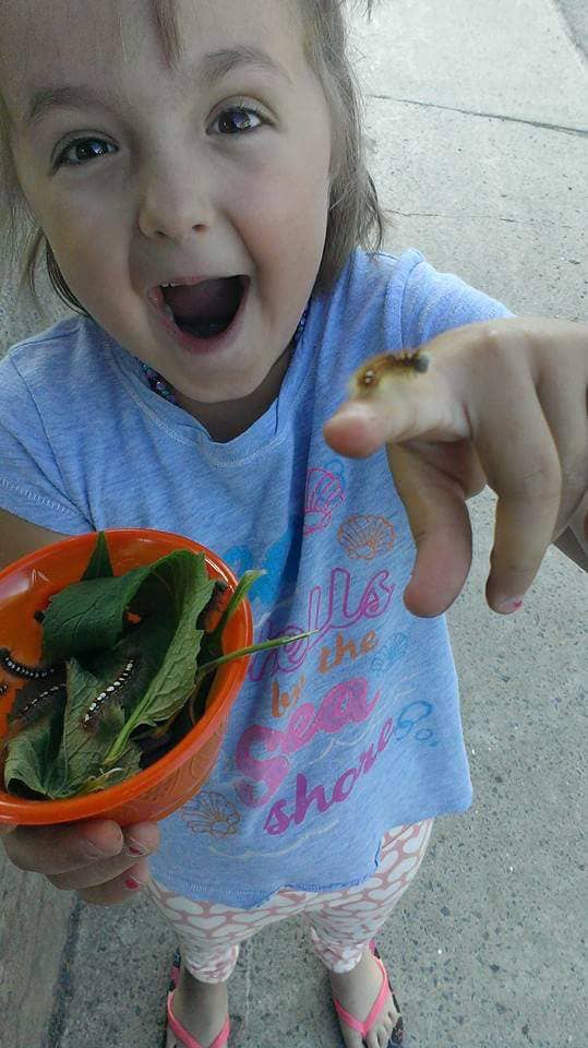 虫が好きだったため イジメにあった少女 世界の昆虫学者から支援の声が集まった