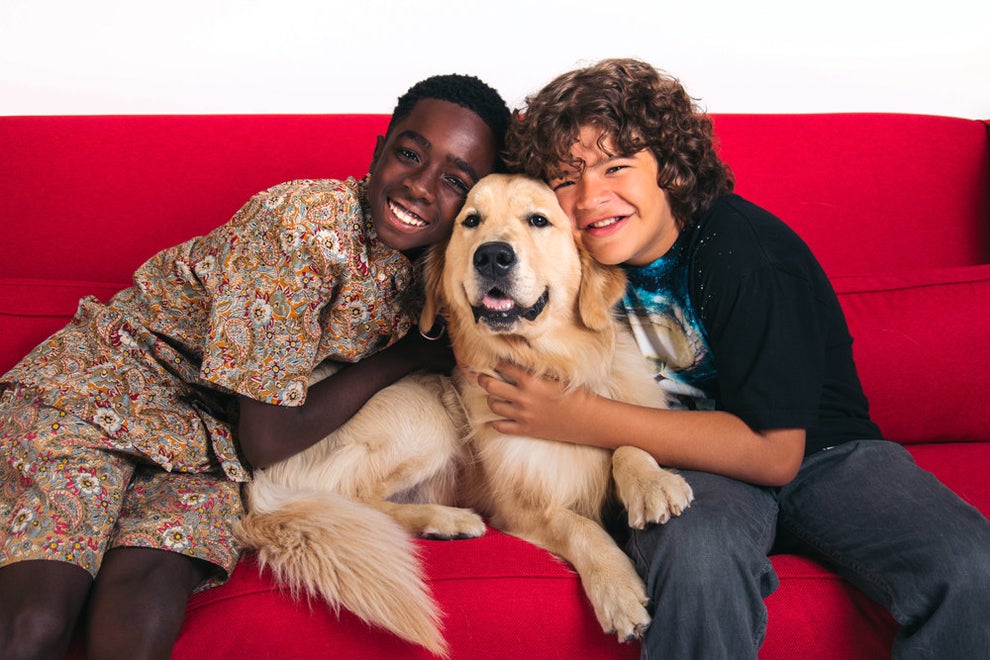 Netflix Held A Photo Shoot Of Their Dog Stars And It’s Too Much