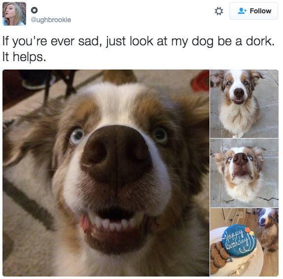 17 People Just Trying To Help The World Not Be Sad