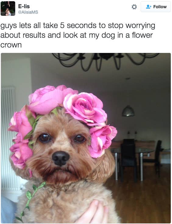 17 People Just Trying To Help The World Not Be Sad