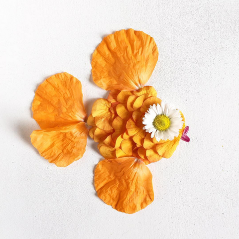 Collins — who has a popular Instagram account — told BuzzFeed she was first inspired to make her creations when she noticed the petals of one of the orange poppies in her garden reminded her of a goldfish.