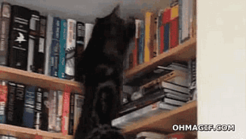 Get your literary collection in tip-top shape while you discuss the wedding of an elementary school acquaintance.