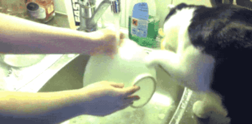The soapy water is the perfect antidote to planning the next family get-together.