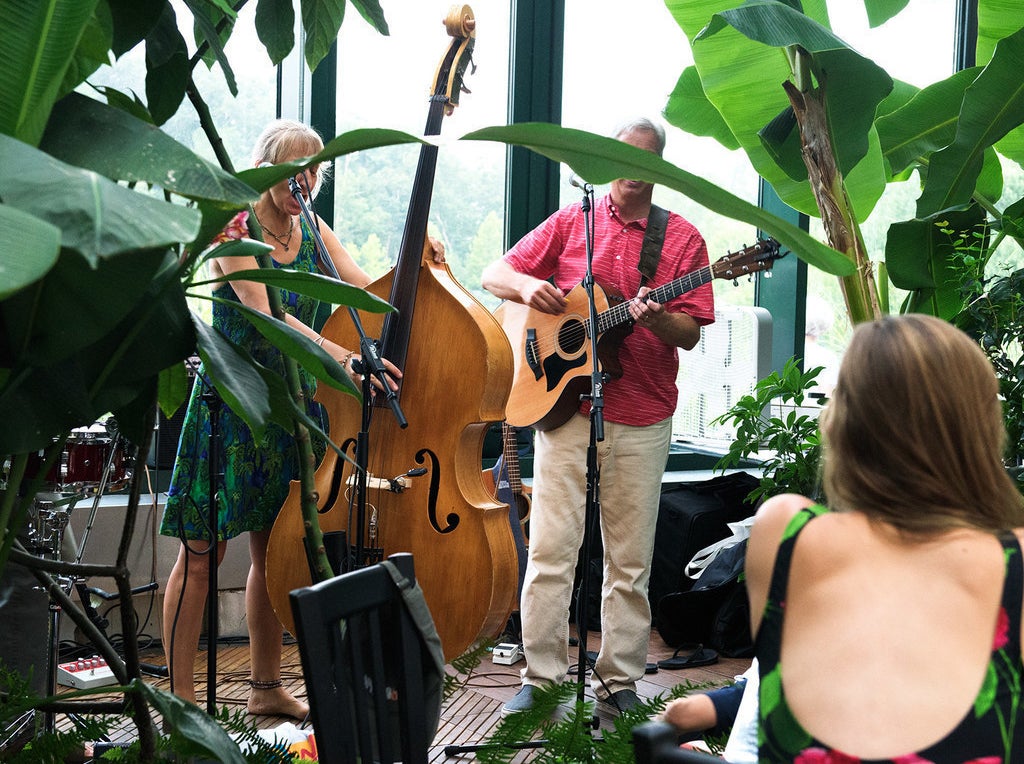 Live music is a staple at Glass House — a very welcome one that only adds to the lively vibe of the greenhouse environment.