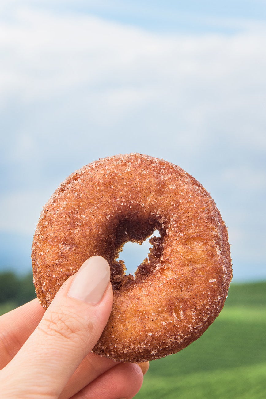 An apple cider doughnut from Carter Mountain. We had just missed the last batch of peach cider doughnuts that morning. *stifles sobs through apple cider doughnut–stuffed mouth*