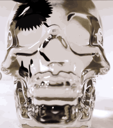 And if you want a human-sized skull, that'll cost you $350, but if you're OK with a miniature skull, then it'll be $60.