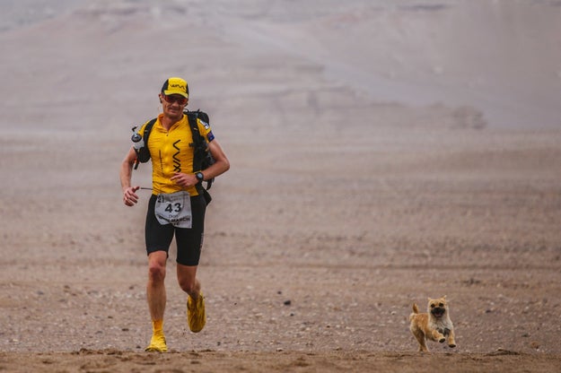 On day two of an intense, 6-day marathon across China's longest-spanning desert, professional runner Dion Leonard noticed a tiny dog running alongside him.