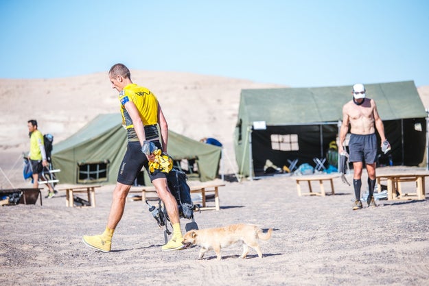 The dog, who was then named "Gobi" in honour of the race, hung out at the camp for the rest of the marathon. Other fellow runners would ration their food to help feed Gobi.