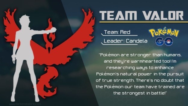 Team Valor