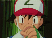 Pokemon Master