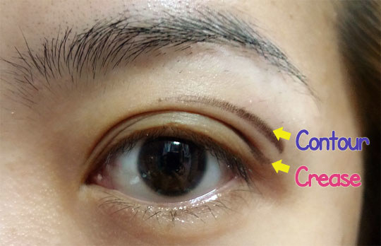 Apply Eyeshadow Asian Eyes 2