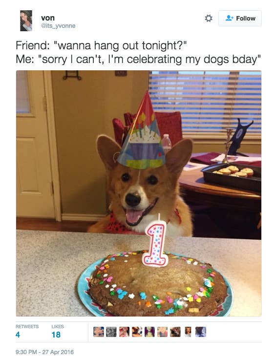 16 Dog Parents Who Had Way Better Plans That Day