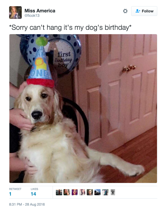 16 Dog Parents Who Had Way Better Plans That Day