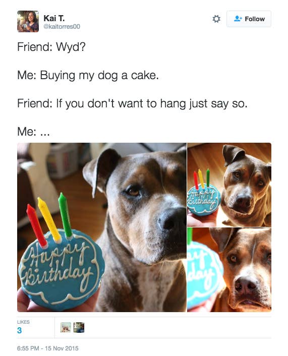 16 Dog Parents Who Had Way Better Plans That Day