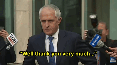 33 GIFs That Help Explain Malcolm Turnbull's First Year As Prime Minister
