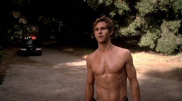 Ryan Kwanten definitely perfected a southern drawl to play the flirty, beautiful, and totally dumb Jason Stackhouse for True Blood. And of course, our neighbour across the sea, New Zealand's Anna Paquin, played his sister Sookie.